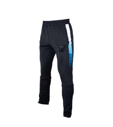 PANTALON DEGRADE