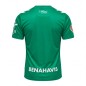 CAMISETA PORTERO VERDE MALAGA CF 2026/27