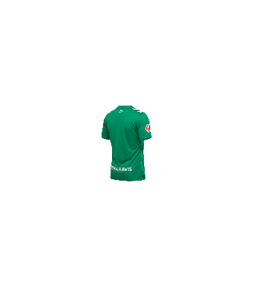 CAMISETA PORTERO VERDE MALAGA CF 2026/27