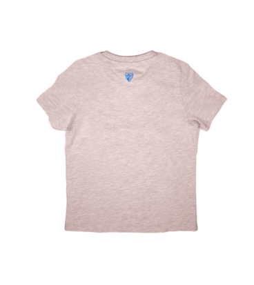 TSHIRT SUPER BOKE GRIS