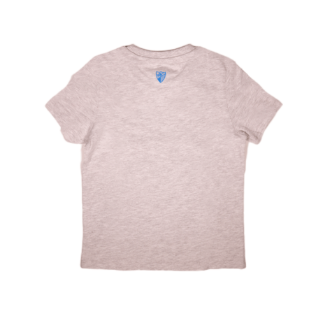 TSHIRT SUPER BOKE GRIS
