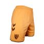 SHORTS 3RD KIT 2024/25