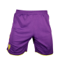 SHORTS 2ND KIT 24/25